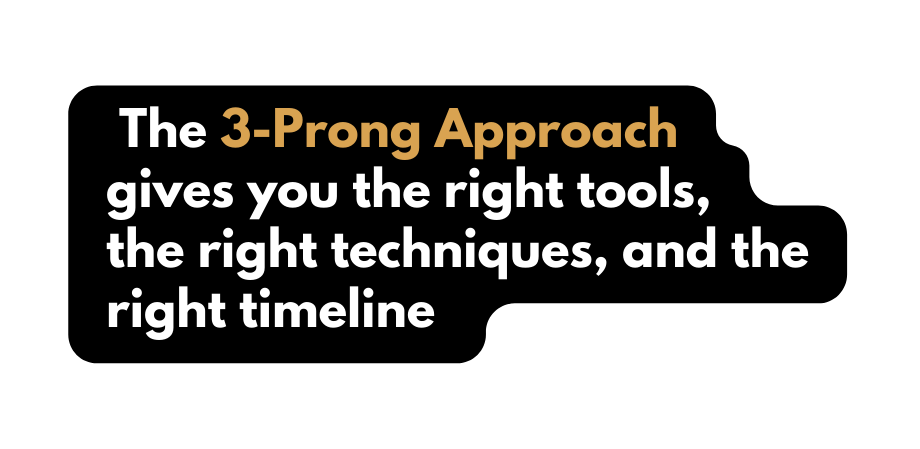 The 3 Prong Approach gives you the right tools the right techniques and the right timeline